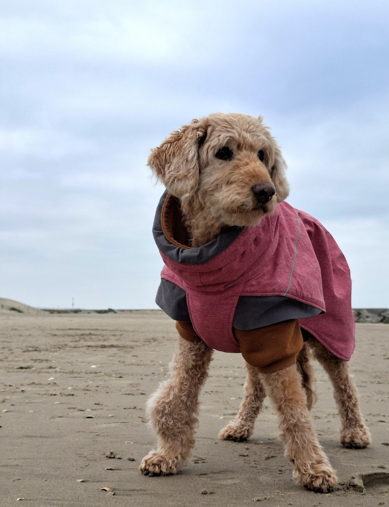 Yindi trots op het strand Yindi trots op het strand